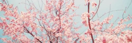 Arivalethia's profile banner image