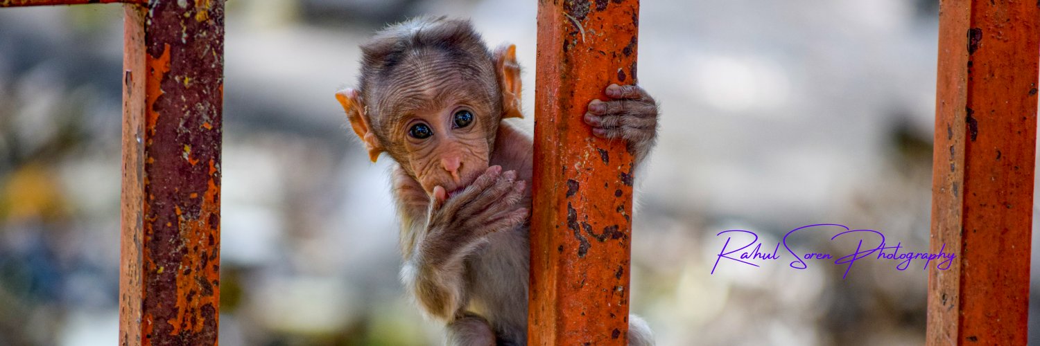 Rahul Soren🐋 banner