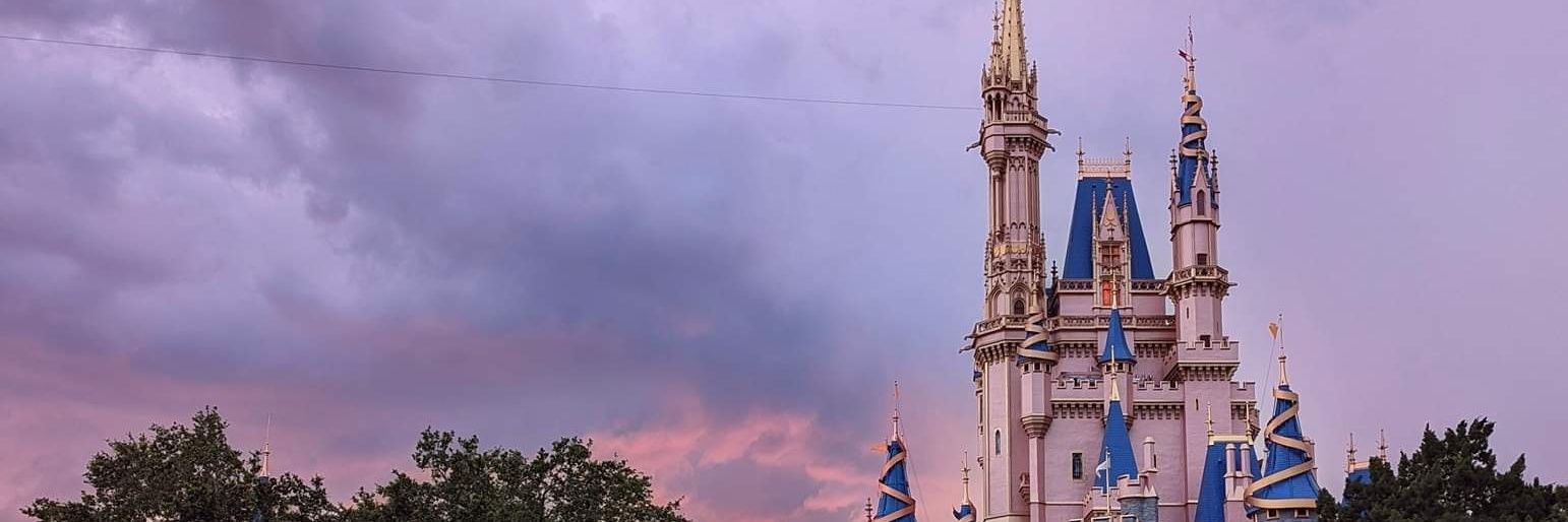 Felicia Valeri banner