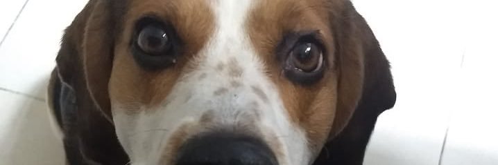 cebenco's profile banner image