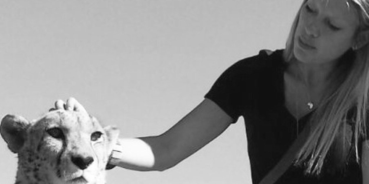 MQVkc's profile banner image