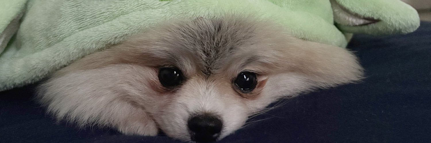 beatlexs's profile banner image
