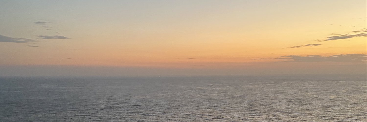NayeCames's profile banner image