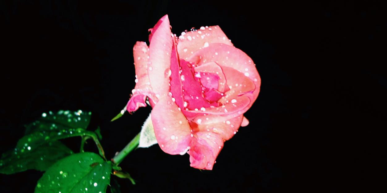 AntHeezie's profile banner image