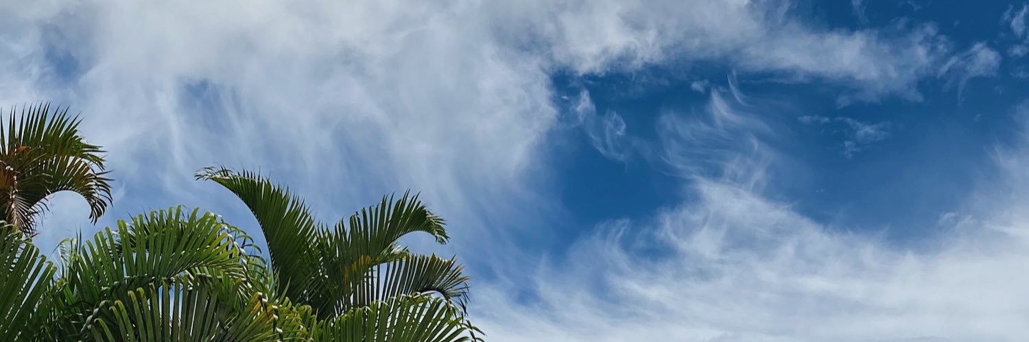 glawberocha's profile banner image