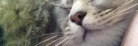 ClaraEdit's profile banner image