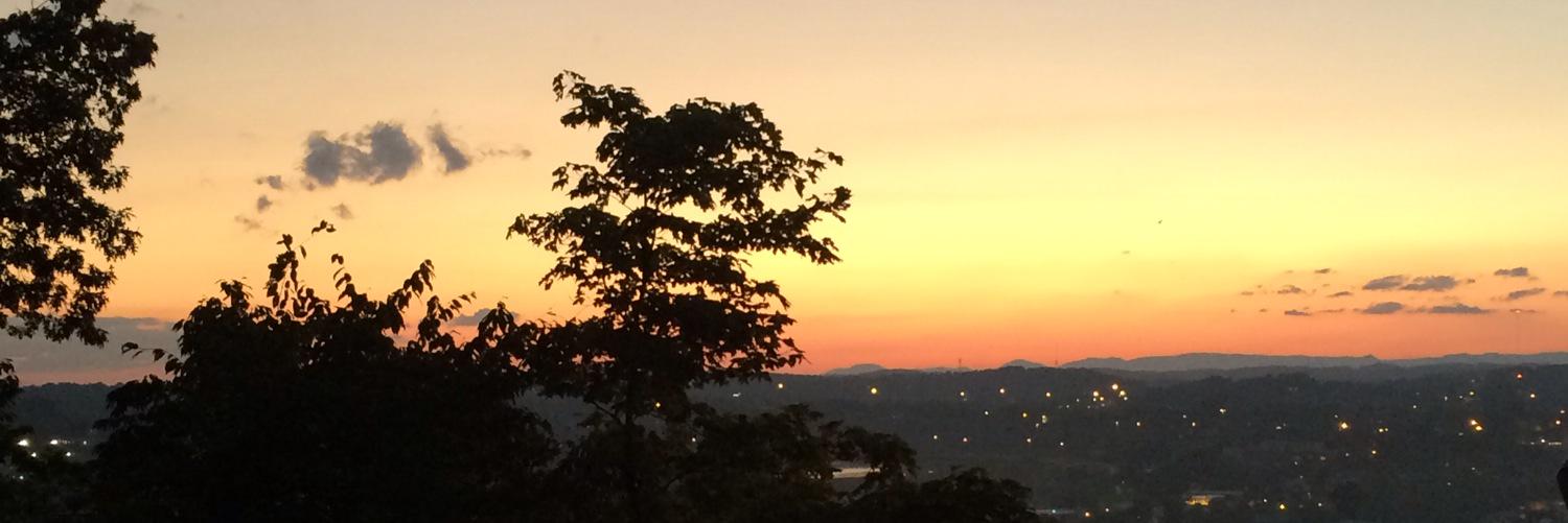 Chelsea Lewis banner