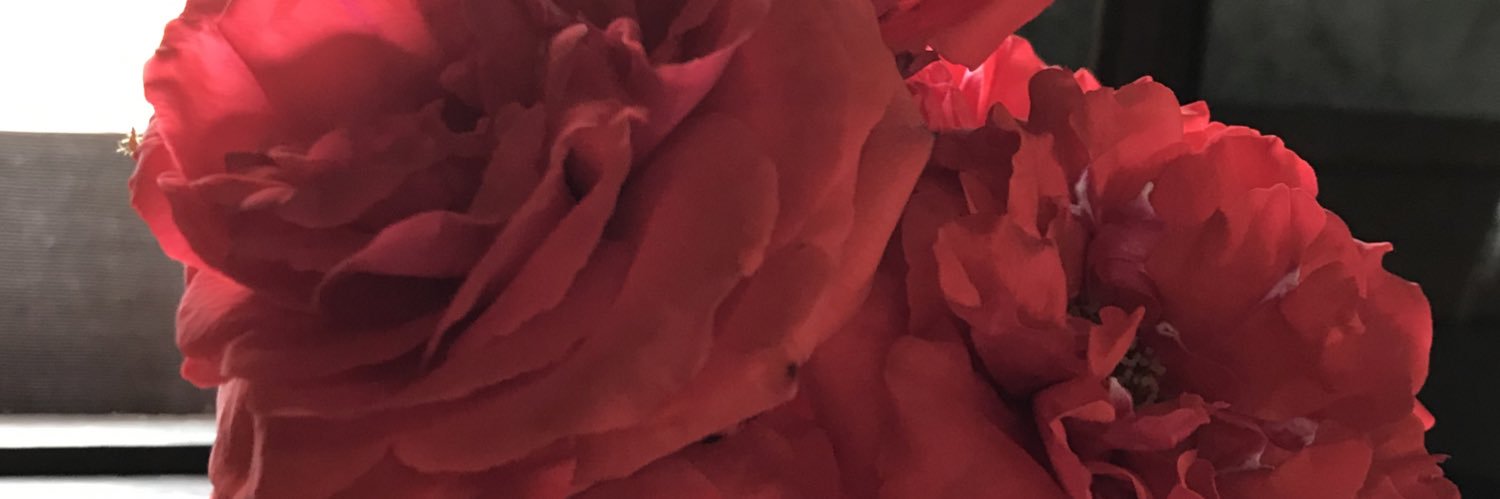 MCedrs's profile banner image