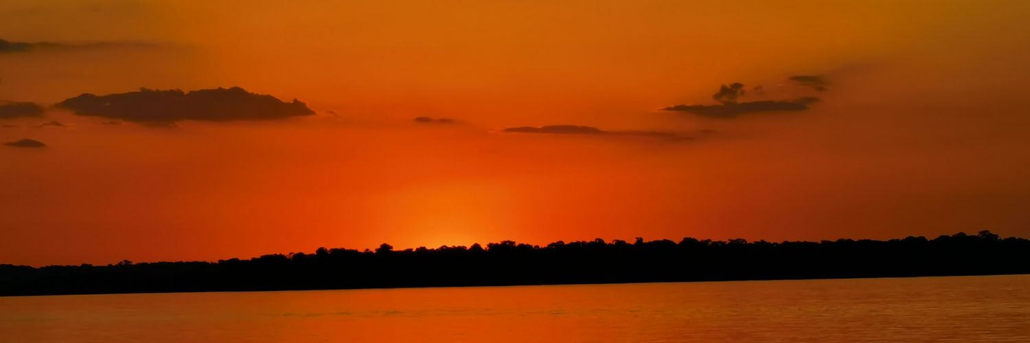 dstegens's profile banner image