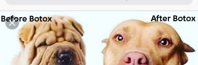 jeanforst's profile banner image