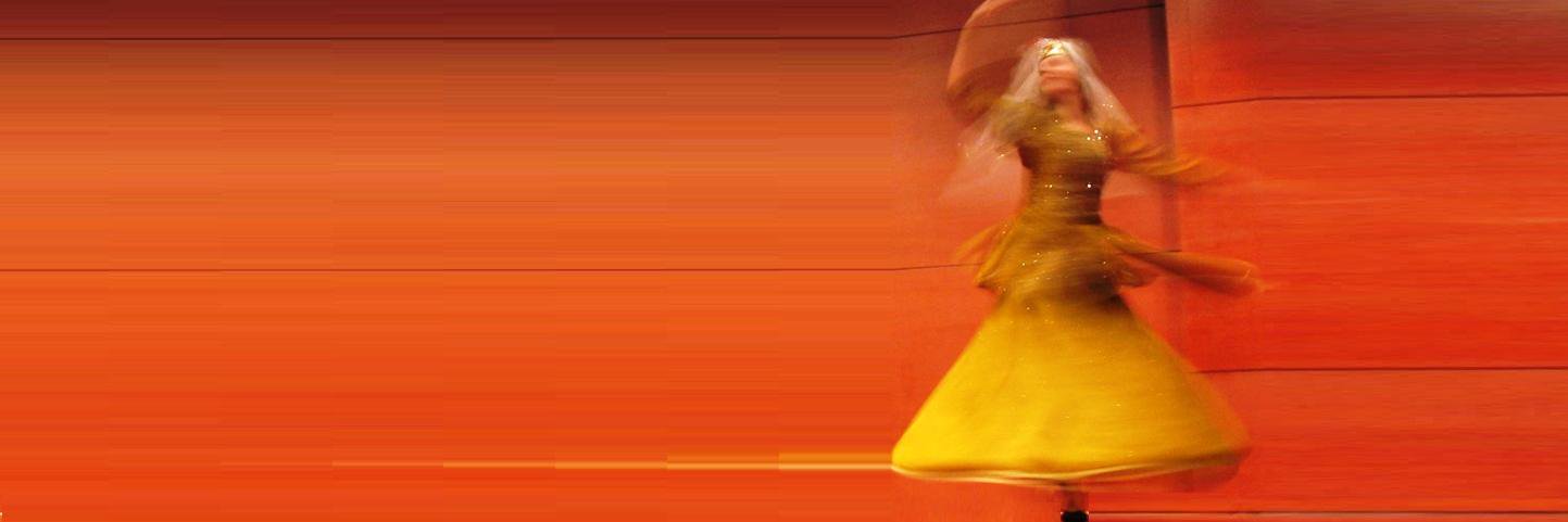 PaxMund banner