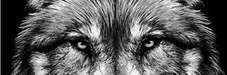 _alvarolozano's profile banner image