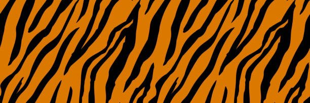 Ash_Amour33's profile banner image