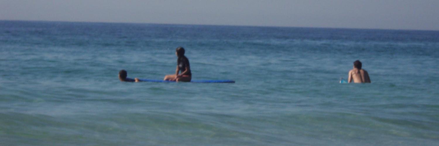Luiza Salles banner