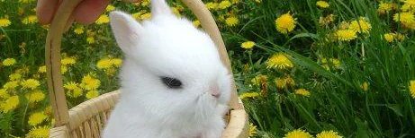 poterpoon's profile banner image