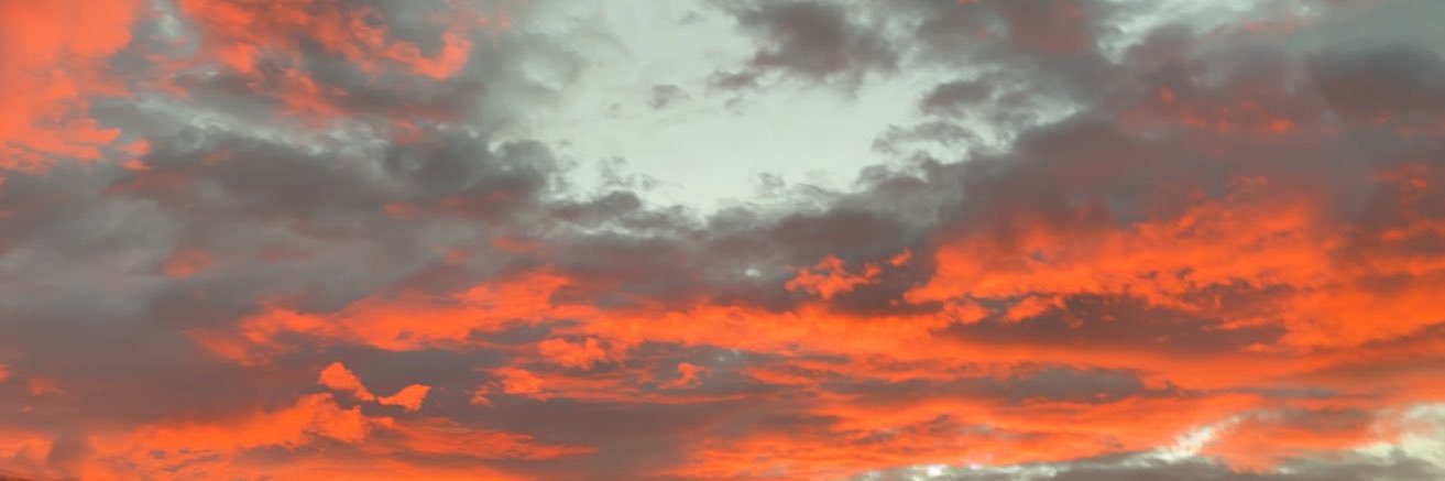 aimeegeorgee's profile banner image