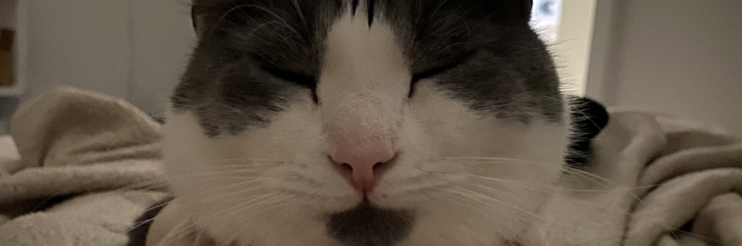 AbbeyMarch's profile banner image