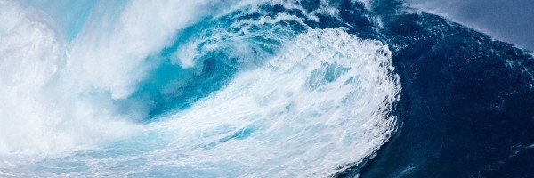 r l tyler PRO UKRAINE banner