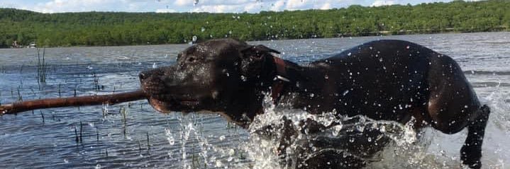 ZachBittman's profile banner image