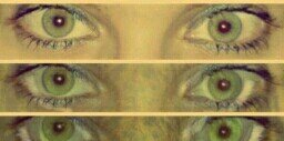 Noelia_Serna's profile banner image
