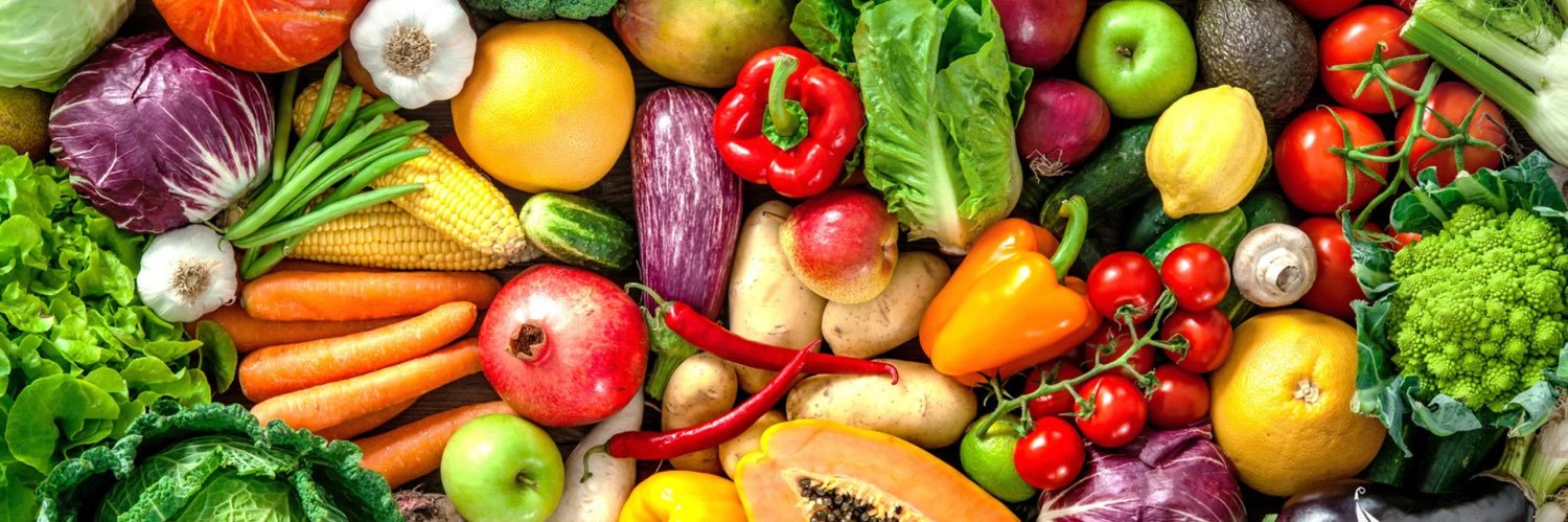 Plant Based Support banner