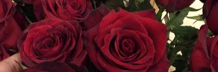 saima1428's profile banner image