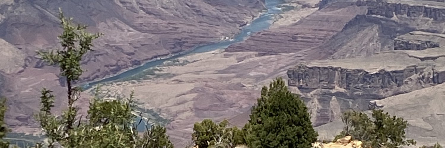 DanaSomething's profile banner image