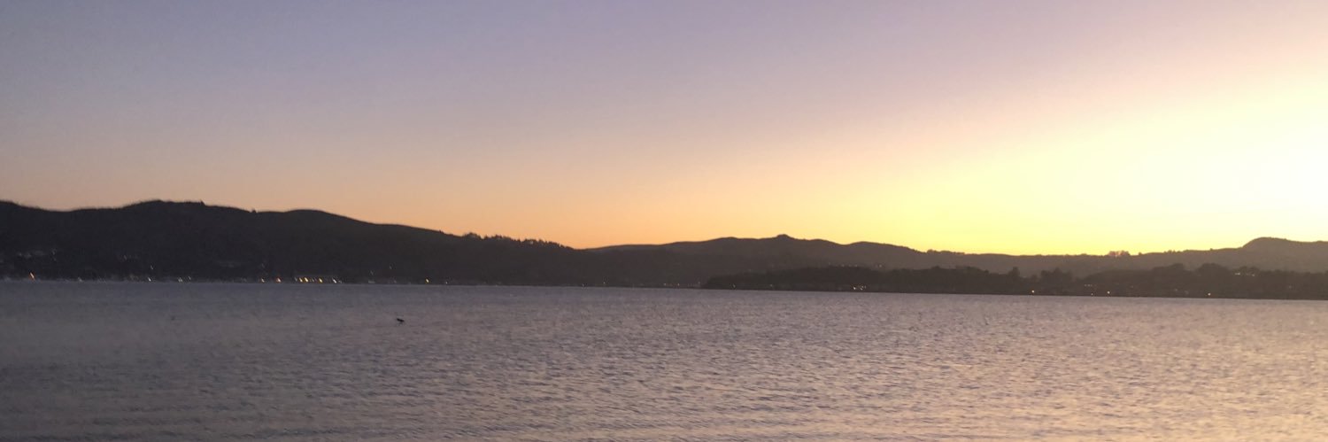 SydneyJoyner's profile banner image