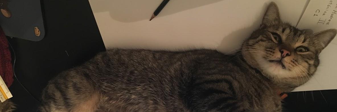 YulzCasi's profile banner image