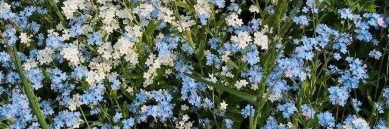 fromssharry's profile banner image