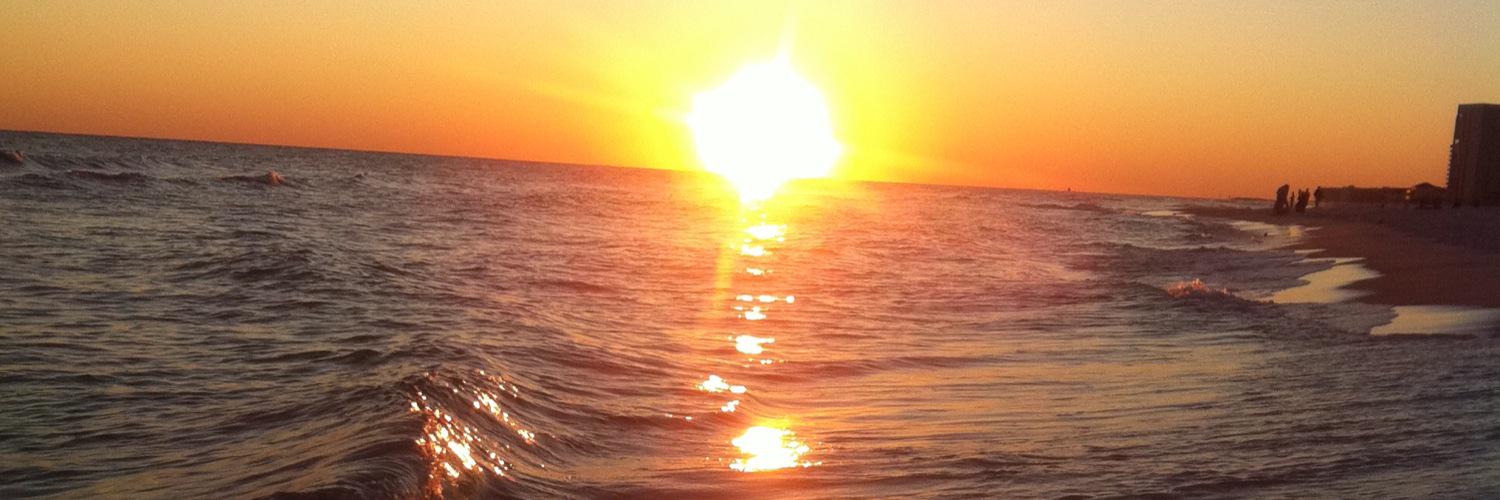 MichelleHayes20's profile banner image