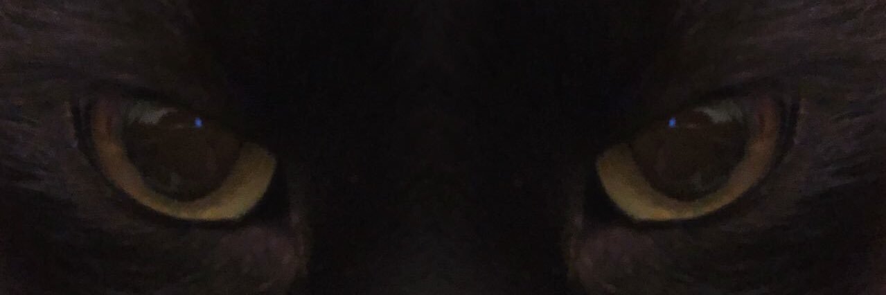 marixlobato's profile banner image