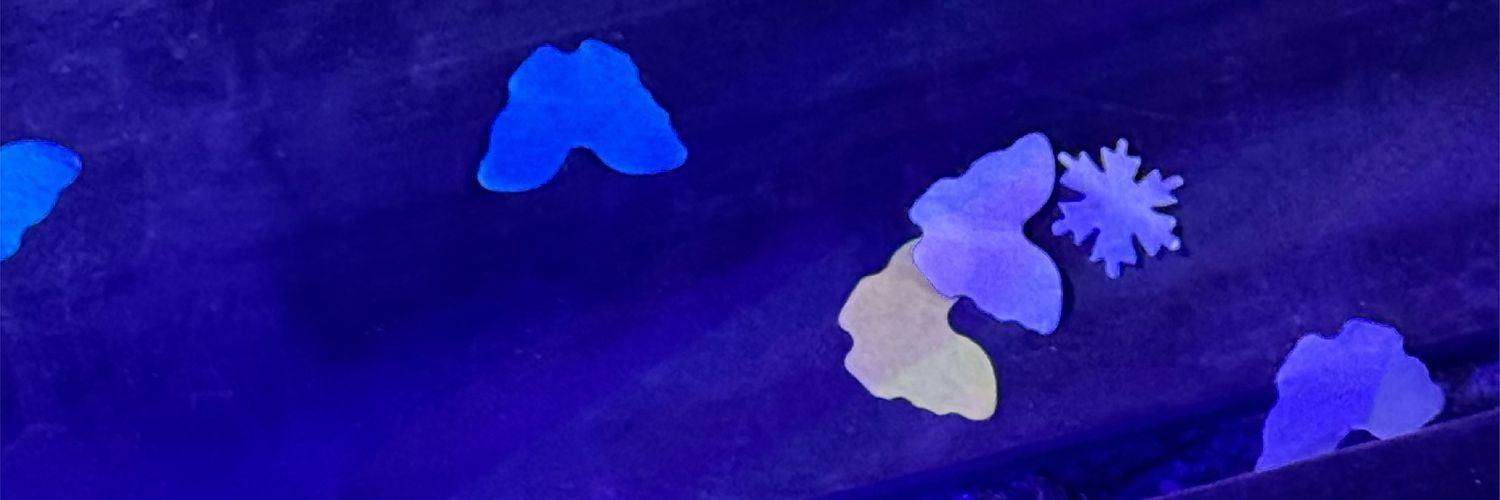 ärinachoiria banner