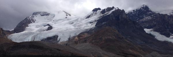 SavvyGroup Profile Banner