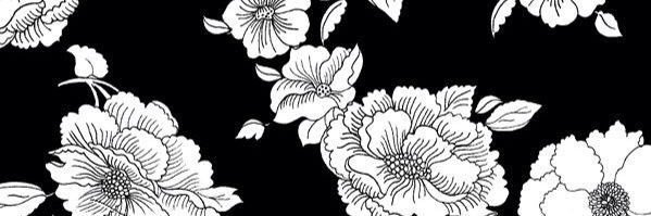 LilliDonahue's profile banner image