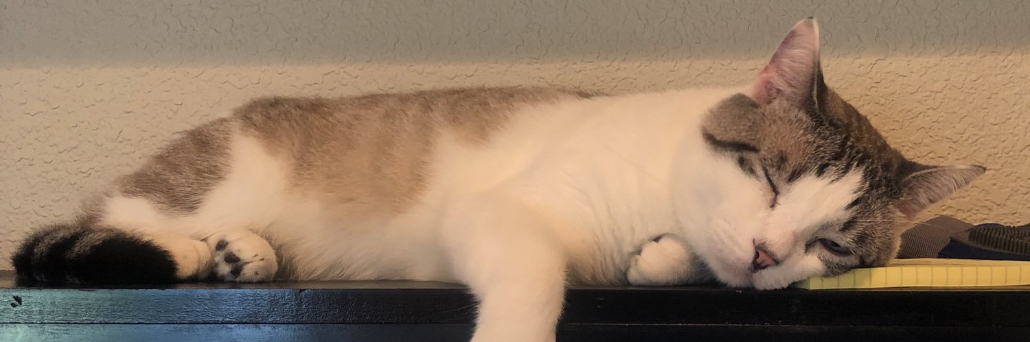 schkijulia's profile banner image