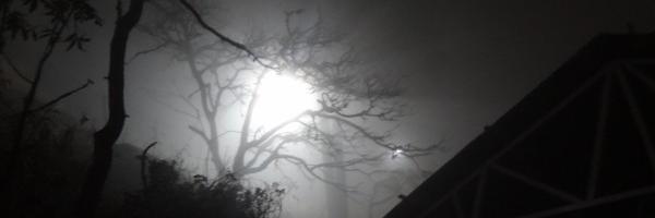 Liis_02's profile banner image