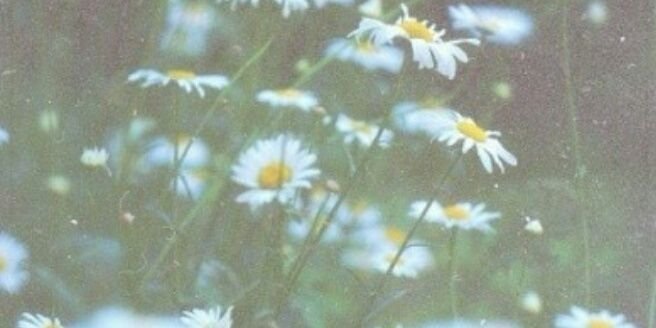 Gemme48's profile banner image
