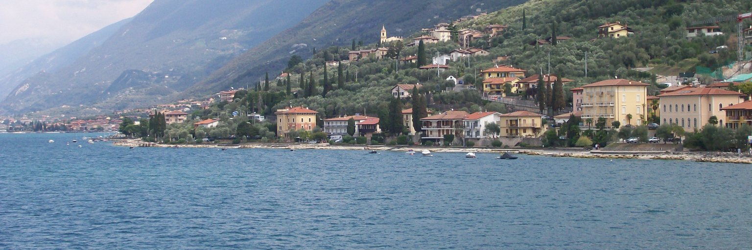 Delvena Johnson banner