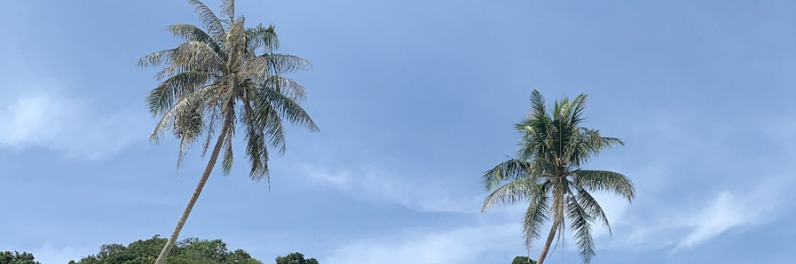 fkrhsykr's profile banner image