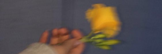 Poppfpt's profile banner image
