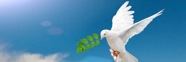 specialcecilia Profile Banner