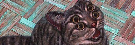 ClaridaLugo's profile banner image