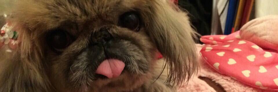 Lil_mny14's profile banner image