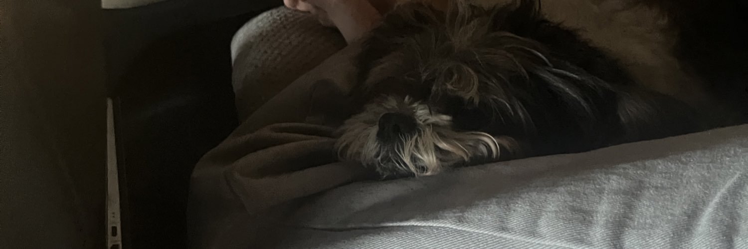 idanielaah's profile banner image