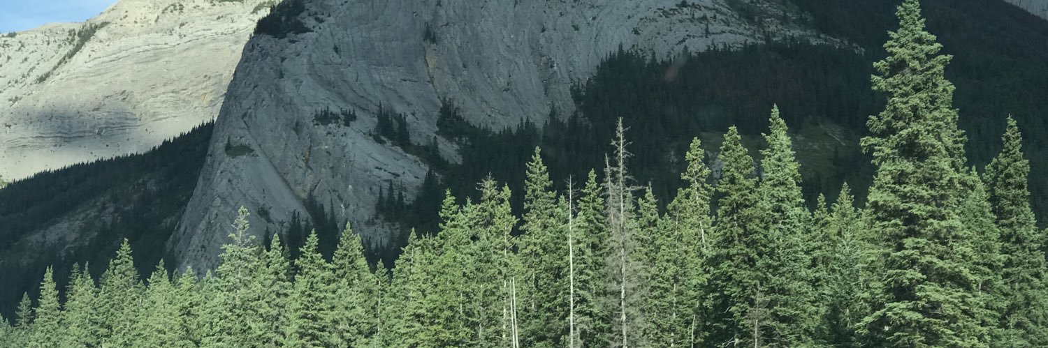 treehousevision's profile banner image