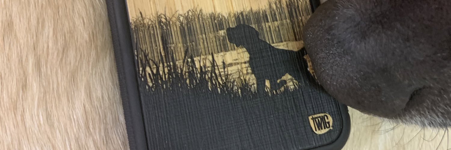 TwigCaseCo's profile banner image