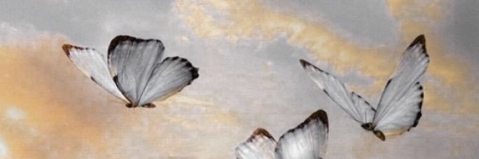 JuliaEifler's profile banner image