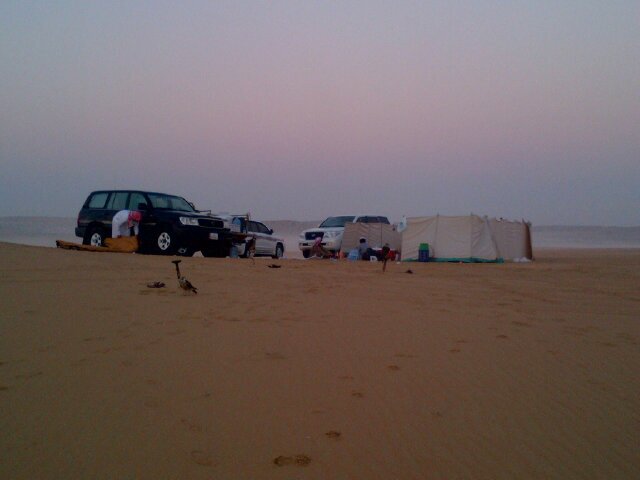 راشد العريك banner