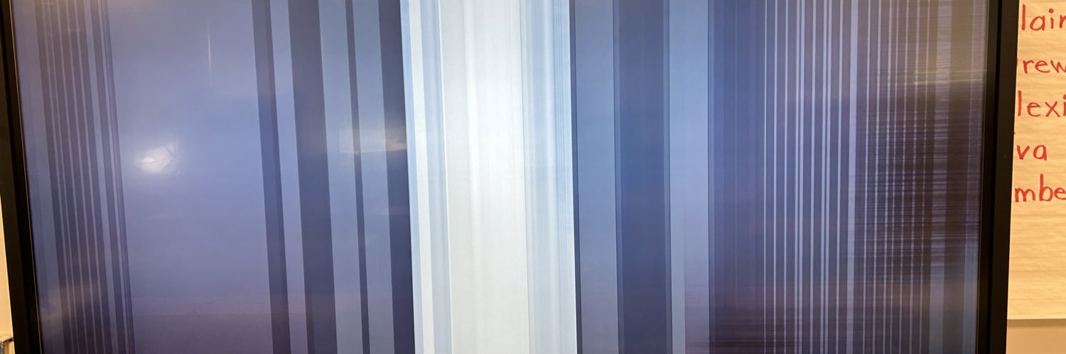 Christus Vincit banner